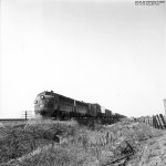Feather Freight